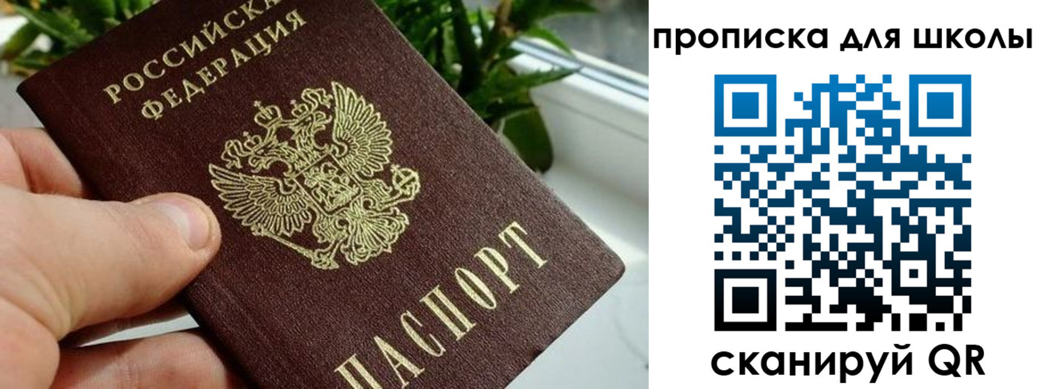 найти адрес прописки в Заречном